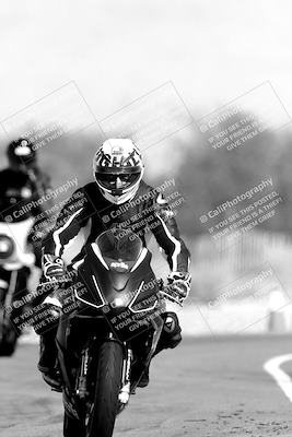 media/Nov-06-2023-Moto Forza (Mon) [[ce023d0744]]/4-Beginner Group/Session 3 (Track Exit)/